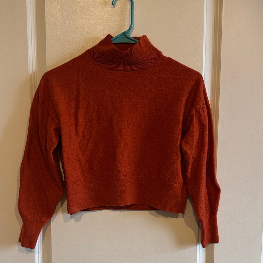 Aritzia 100% Wool Sweater